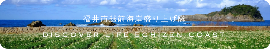 福井市越前海岸盛り上げ隊